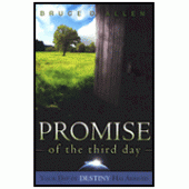 Promise Of The Third Day By Bruce Allen 